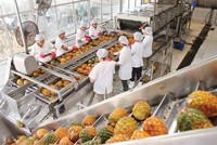 Các sản phầm nông nghiệp cần được chế biến sâu để tăng giá trị