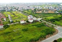 Chủ đầu tư bất động sản và đơn vị phân phối “cộng sinh” trong cảnh giác