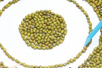 Nghệ thuật làm báo cáo từ những bàn tay khéo léo