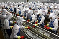 DN thủy sản kỳ vọng lợi nhuận quý III