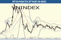 Nhà đầu tư chứng khoán không thể ngồi yên