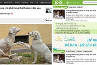 24H đầu tư chiến lược vào haivl