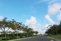 Nàng công chúa đang được đánh thức