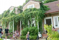 Những ngày cuối tuần, các trang trại mini hầu như không còn phòng trống