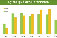 BMP và NTP: ghế nóng “ngôi vương”