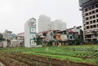 Đấu giá đất tại Hà Nội bất ngờ vượt kế hoạch