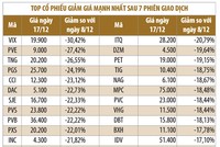 Doanh nghiệp lớn vẫn vững bước