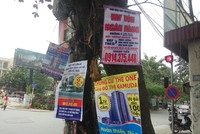 Nơi ngã tư đường đèn xanh đèn đỏ là vị trí đắc địa. Ai  cũng muốn bon chen nên gốc cây được tận dụng không còn chỗ trống