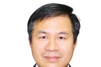 Ông Đào Đình Thi - Chủ tịch HĐQT Tập đoàn Bảo Việt
