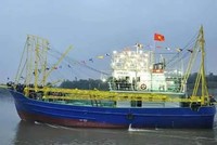 Tàu mẫu chụp mực vỏ thép số 01 - thiết kế V016, do Công ty CP Kỹ thuật đóng tàu Việt Nam (Visec) thiết kế, Công ty CP CNTT Sông Đào (thuộc Tổng công ty Công nghiệp tàu thủy-SBIC) đóng mới và hoàn thành sau 5 tháng thi công.