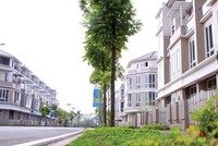 Bán biệt thự liền kề Xuân Phương giá từ 3,5 tỷ đồng/căn