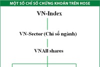 Dấu ấn bộ chỉ số HOSE Index