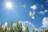 Đón nắng Xuân về!