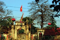 Linh hồn làng Việt