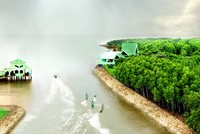 Về miền sông nước Cà Mau 