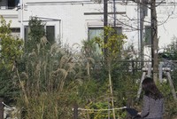 Fujisawa SST được chứng nhận là hình mẫu về giảm phát thải CO2 trong các tòa nhà