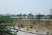 Dự án cao nhất Hà Nội về tay doanh nghiệp Việt kiều