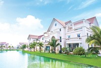 Ngân hàng, bất động sản, dệt may... sẽ là những ngành thu hút dòng tiền cao