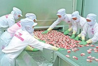 MPC đạt EPS trên 10.000 đồng