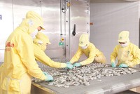 Việc giới hạn sở hữu ít nhiều cản trở sự linh hoạt trong cấu trúc huy động vốn của DN