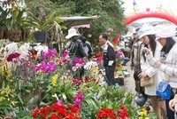 Chợ hoa đầu mối đầu tiên của TP. Đà Lạt sẽ có công suất tiêu thụ 200 triệu cành/năm (Ảnh minh họa)