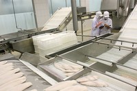 Pháp luật lao động đang xa rời cuộc sống