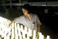 RAL trả cổ tức năm 2015 ở mức 35%