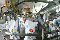 Quý I, DCM lãi ròng hơn 197 tỷ đồng