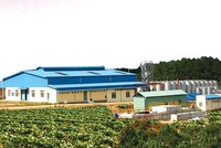 Nhà máy sản xuất rượu vang với quy mô lớn của VDL