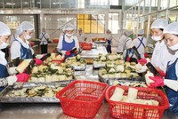 DN vẫn chưa mặn mà đối với các mối liên kết để tăng sức cạnh tranh cho các mặt hàng nông sản