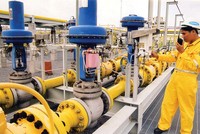 Lợi nhuận 6 tháng của PGS trong 6 tháng đầu năm vượt kế hoạch HĐQT đề ra