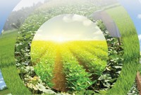 SSC và tham vọng phát triển trong 5 năm tới