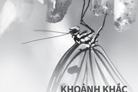 Có thể thấy, 2014 là một năm của rất nhiều biến động trên mọi lĩnh vực kinh tế, chính trị, xã hội tại Việt Nam và trên thế giới. Với vai trò là một CTCK đầu ngành, có những đóng góp tích cực vào sự phát triển của TTCK Việt Nam, HSC nhìn thấy rõ và mong mu