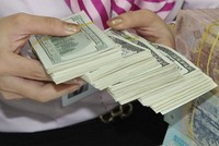 Biến động tỷ giá, đừng để “mất bò mới lo làm chuồng”!