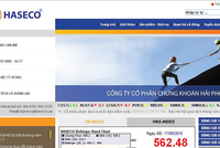 Việc hợp nhất với AAS sẽ giúp Haseco xử lý được khoản lỗ lũy kế khủng