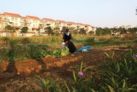 Hà Nội chuẩn bị đấu giá nhiều khu đất