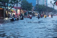 Những ngày không tươi đẹp…