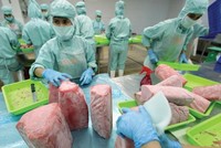 Tham gia các FTA, nhiều cơ hội đầu tư mở ra ở nhiều ngành nghề có lợi thế cạnh tranh của Việt Nam