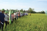 PVFCCo North hiện chiếm khoảng 30% thị phần phân đạm tại khu vực miền Bắc