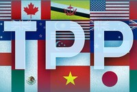 Sau hơn 5 năm đàm phán, TTP đã về đích