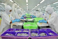 Ngành thủy sản của Việt Nam sẽ được lợi từ việc bãi bỏ thuế nhập khẩu một số mặt hàng