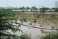 Chủ đầu tư tòa tháp cao nhất Hà Nội đổi tiền lấy quỹ đất 20%