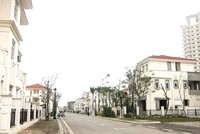 Phân khúc biệt thự, nhà liền kề tại Hà Nội được đánh giá đã sôi động trở lại