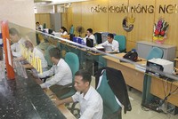 Agriseco đã hội đủ các điều kiện để tham gia sân chơi mới trong thời gian tới