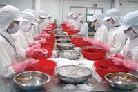 71% dòng thuế với sản phẩm thủy sản Việt Nam nhập khẩu vào EEU sẽ được xóa bỏ ngay khi FTA có hiệu lực