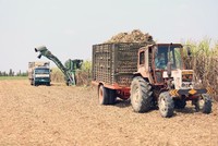 SBT sẽ có biến động lớn về nhân sự