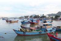 Hiện mới chỉ có 33,57% trong tổng số 28.000 tàu cá (bao gồm các tàu dự kiến đóng mới) tham gia bảo hiểm