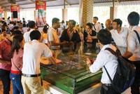 LDG Group mở bán đợt 2 nhà phố xây sẵn