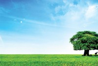 Sống “cân bằng” trong xã hội hiện đại