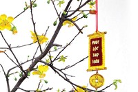 Sắc vàng xuống phố…